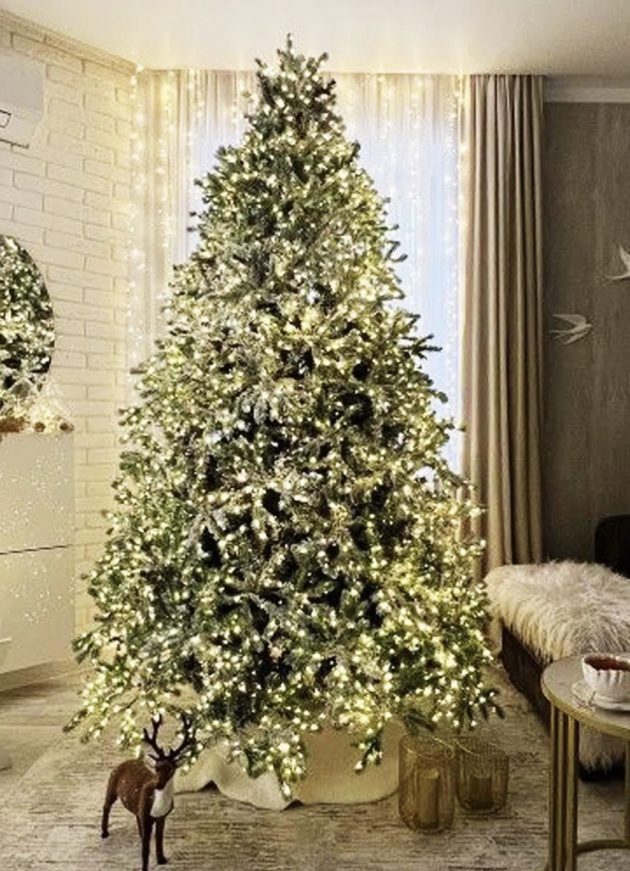 6' Lighted Spruce Holiday Christmas Tree