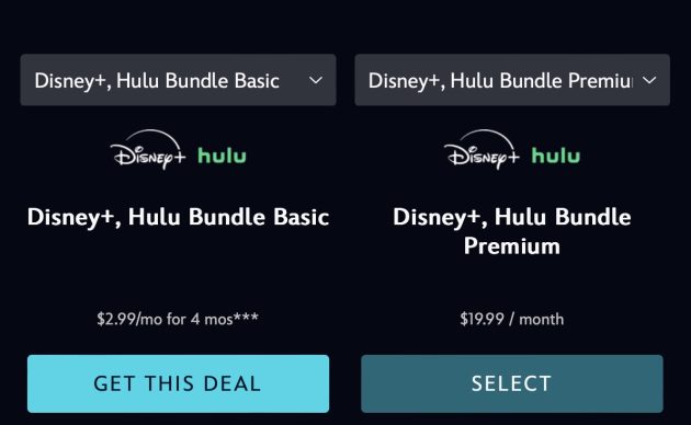 Disney Bundle